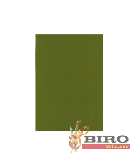 Fetru, 20x30cm, 180g/m2, verde olive, 10 foi, MAXI